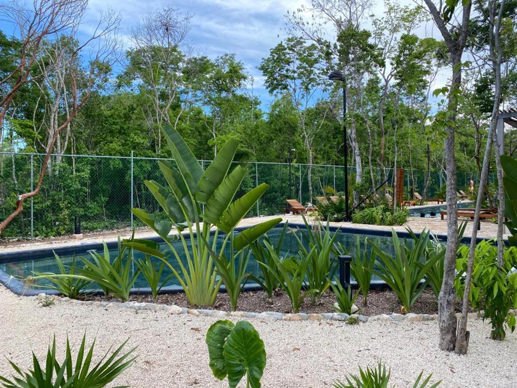Aldea Savia By Andiani Travel Lejlighed Tulum Eksteriør billede