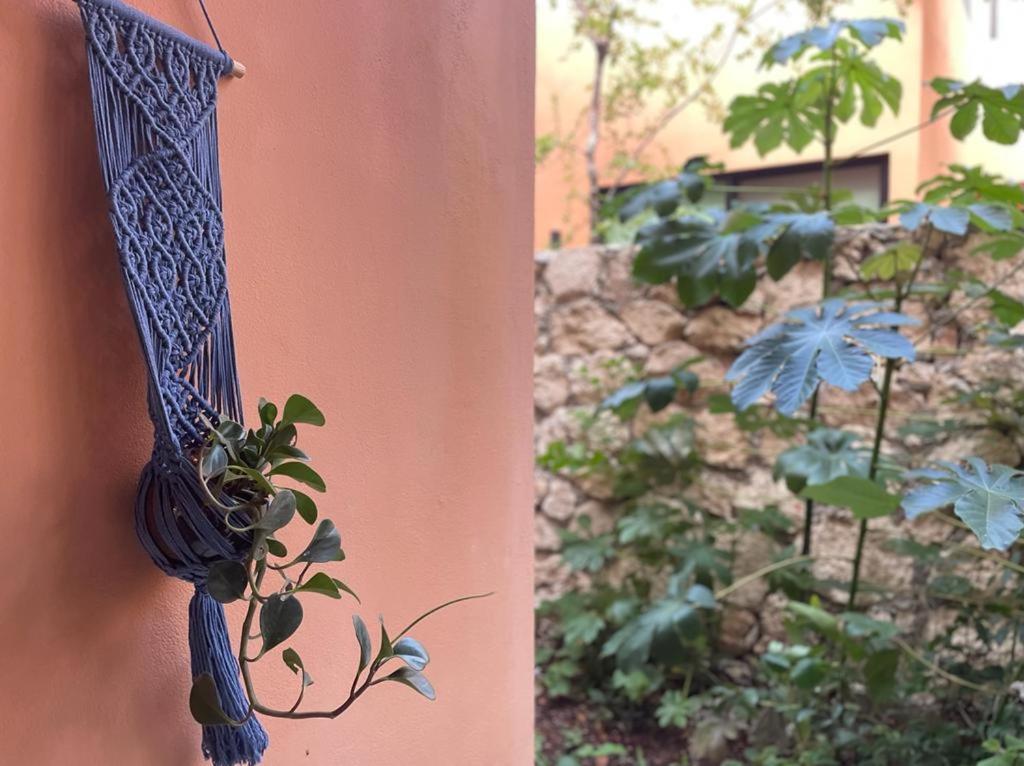 Aldea Savia By Andiani Travel Lejlighed Tulum Eksteriør billede